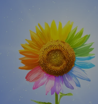 新手必备：Mac触控板/鼠标怎么敲右键？