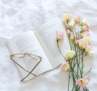 一款可以下载多个资源的工具